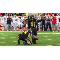 Hamilton Tiger-Cats kicker Dante Brown