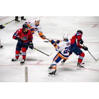 Springfield Thunderbirds handle the puck vs. the Bridgeport Islanders