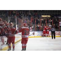 Rapid City Rush celebrate a goal against the Idaho Steelheads