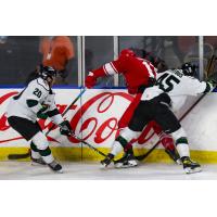 Allen Americans battle the Utah Grizzlies