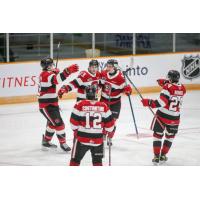 Ottawa 67's celebrate a goal