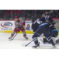 Grand Rapids Griffins center Kyle Criscuolo