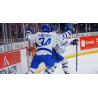 Joe Manchurek reacts after a Wichita Thunder goal