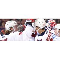 South Carolina Stingrays exchange high fives