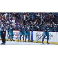Orlando Solar Bears exchange congratulations along the bench