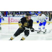 Orrin Centazzo of the Newfoundland Growlers