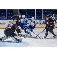 Red Deer Rebels goaltender Chase Coward vs. the Swift Current Broncos