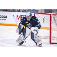 Winnipeg ICE goaltender Daniel Hauser