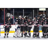 Rapid City Rush exchange congratulations after a win against the Allen Americans