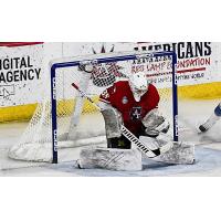 Allen Americans goaltender Hayden Lavigne