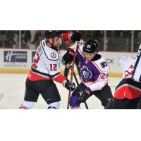 Reading Royals battle the Adirondack Thunder