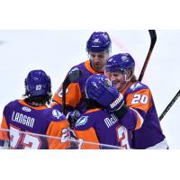 Orlando Solar Bears celebrate a goal
