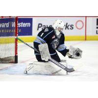 Winnipeg ICE goaltender Noah Stenvig