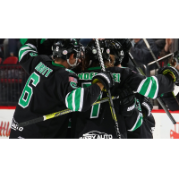Binghamton Black Bears celebrate a goal against the Delaware Thunder