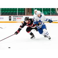 Belleville Senators battle the Toronto Marlies