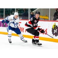 Belleville Senators defenceman Jacob Bernard-Docker (right) vs. the Toronto Marlies