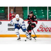 Belleville Senators forward Rourke Chartier (right) vs. the Toronto Marlies