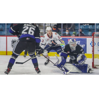 Victoria Royals goaltender Tyler Palmer vs. the Kamloops Blazers