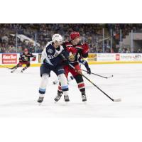 Grand Rapids Griffins battle the Milwaukee Admirals