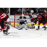 Vancouver Giants eye the Kelowna Rockets goal