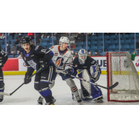 Victoria Royals goaltender Tyler Palmer vs. the Kamloops Blazers