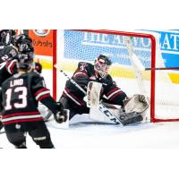 Red Deer Rebels goaltender Connor Ungar