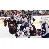 Tri-City Americans battle the Portland Winterhawks