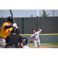 Somerset Patriots pitcher Ken Waldichuk delivers