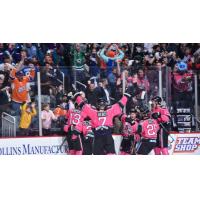 Orlando Solar Bears celebrate a goal