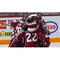 Peterborough Petes celebrate a goal