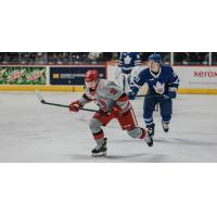 Grand Rapids Griffins center Kyle Criscuolo vs. the Toronto Marlies