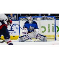 Jacksonville Icemen goaltender Tyler Wall