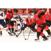 Prince George Cougars goaltender Tyler Brennan and his defence keep the Tri-City Americans at bay