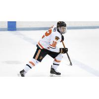 Forward Jordan Fogarty