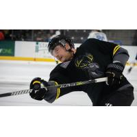 Iowa Heartlanders forward Jake Smith