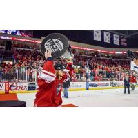 Chad Costello of the Allen Americans hoists the Kelly Cup