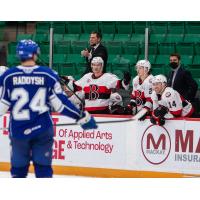 Belleville Senators head coach Troy Mann during their game against the Syracuse Crunch