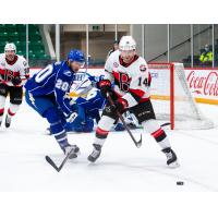 Belleville Senators centre Rourke Chartier vs. the Syracuse Crunch