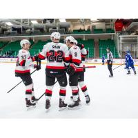 Belleville Senators right wing Logan Shaw is congratulated by teammates vs. the Syracuse Crunch