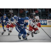 Grand Rapids Griffins defenseman Ryan Murphy (right) vs. the Toronto Marlies