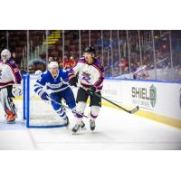 Reading Royals defenseman Patrick McNally vs. the Newfoundland Growlers