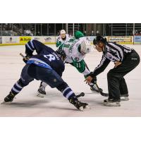 Texas Stars face off with the Manitoba Moose
