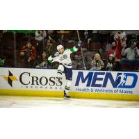 Maine Mariners react after a goal