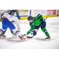 Maine Mariners forward Patrick Shea (right) in the faceoff circle