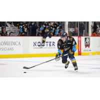 Toledo Walleye forward Austin McIlmurray