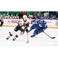 Belleville Senators right wing Egor Sokolov (left) vs. the Syracuse Crunch