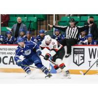 Belleville Senators defenceman Maxence Guenette (right) vs. the Syracuse Crunch