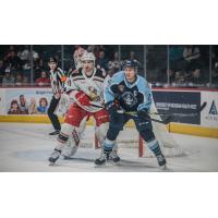 Grand Rapids Griffins defenseman Blake Hillman (left)