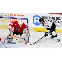Allen Americans goaltender Francis Marotte