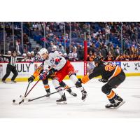 Lehigh Valley Phantoms battle the Hartford Wolf Pack